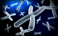 微生物基因细胞示例插图
