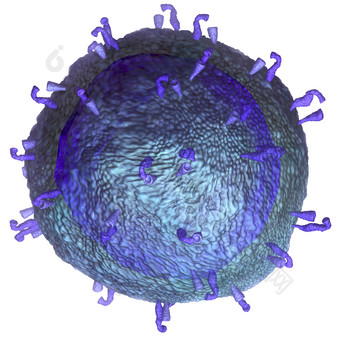 免疫力白细胞病原体<strong>示例</strong>图