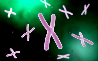 <strong>微生物</strong>染色体细胞示例插图