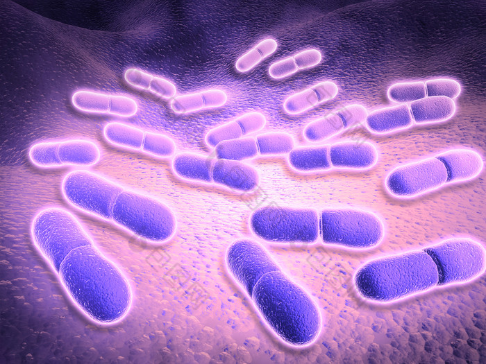 生物分子杆菌细菌示例图