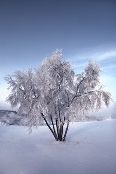 雪景雪山风景插图