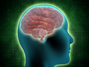 医疗科技人脑结构图
