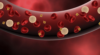 血液中的红细胞血红蛋白