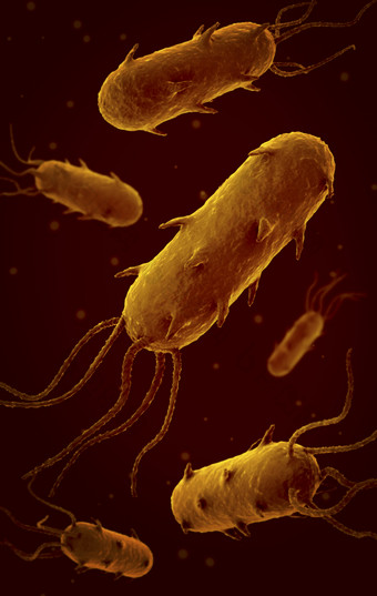 细菌微生物摄影图