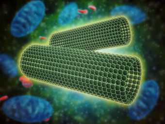 生态学<strong>生物</strong>分子示例图