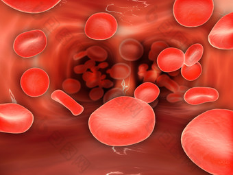 血管<strong>血液细胞</strong>流动示例图