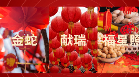 简洁蛇年新年祝福快闪AE模板