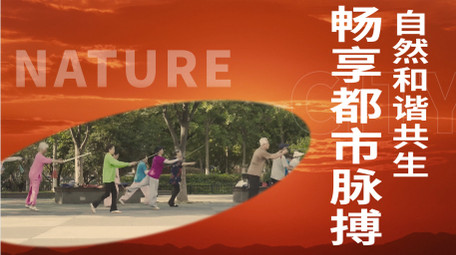 胶片质感图文快闪pr模板