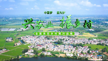 绿色农业乡村振兴片头AE模版