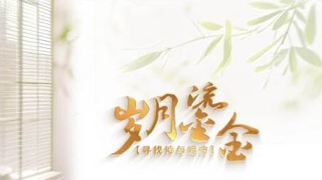 简洁唯美艺术光影文字片头AE模板