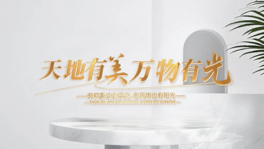 简洁<strong>唯美</strong>艺术<strong>光影</strong>文字<strong>片头</strong>AE模板