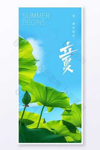 藍(lán)色小清新立夏二十四節(jié)氣夏日荷葉海報(bào)圖片
