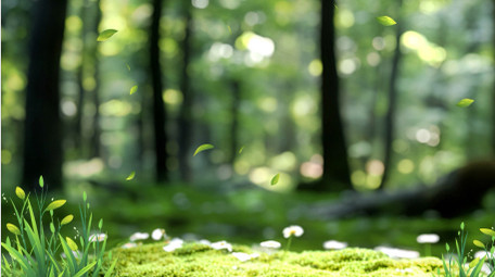 唯美光影清新绿色自然背景视频