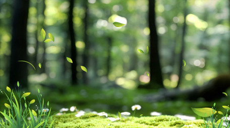 唯美光影清新绿色自然背景视频