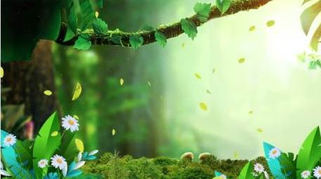 清新光影唯美动画背景视频