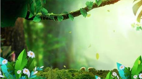 清新光影唯美动画背景视频