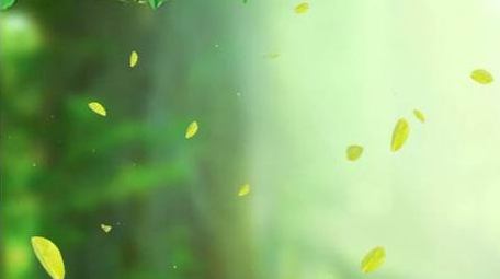 清新光影唯美动画背景视频