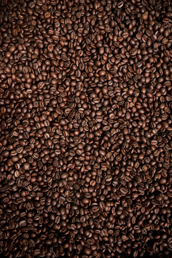 成熟咖啡豆壁纸