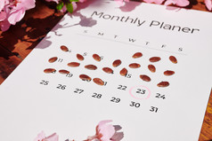 用种子在日历上记录日期
