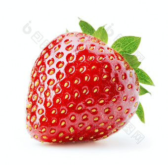 一颗<strong>新鲜</strong>的大<strong>草莓</strong>