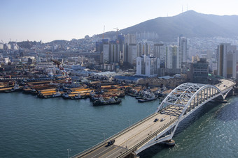 繁华海边城市建筑大桥摄影图