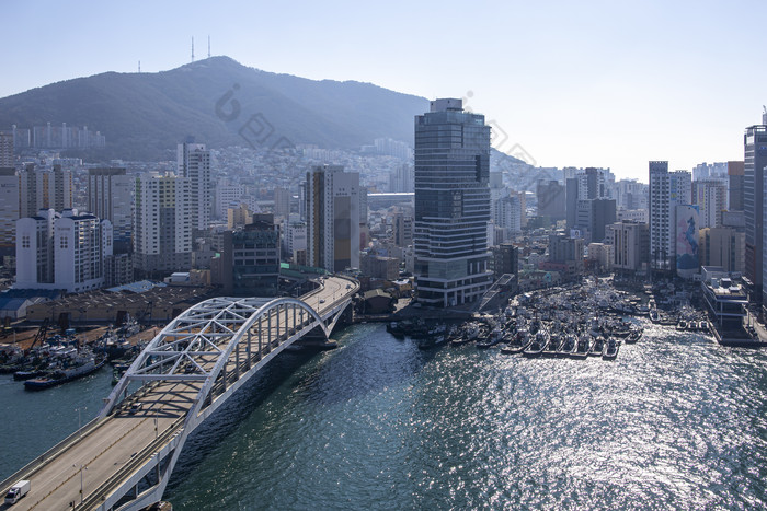 繁华海边港口码头城市建筑摄影图