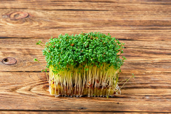 桌子上的绿色植物摄影图