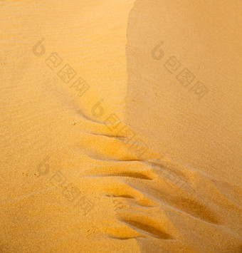 金色沙滩上的脚印