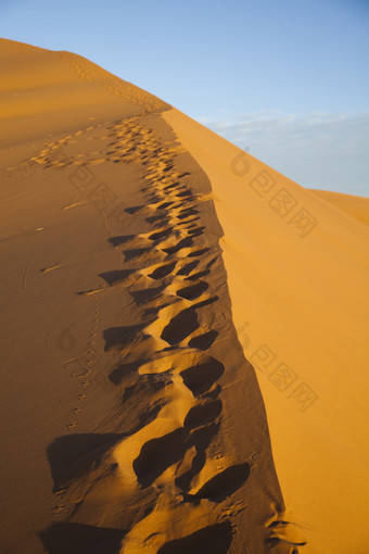 大自然沙漠骆驼脚印