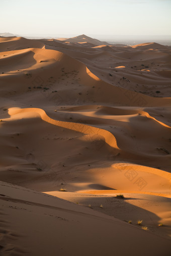 连绵不绝的沙漠沙丘风光