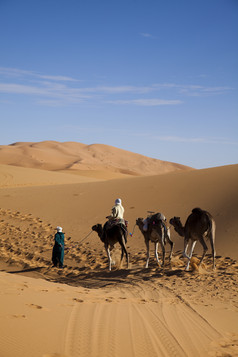 沙漠骆驼行人摄影图