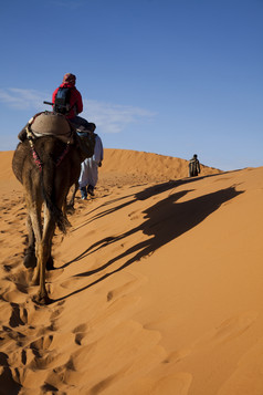 骑骆驼在沙漠中行走