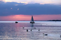 美丽多彩的日落在湖与船和天鹅