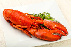 味道鲜美的烹调-煮熟的龙虾，可供食用
