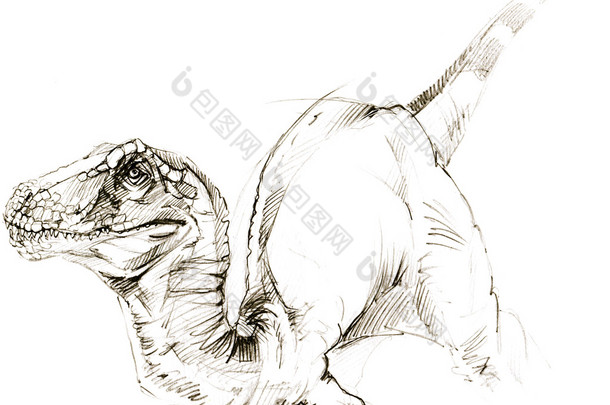 恐龙。恐龙绘图铅笔素描