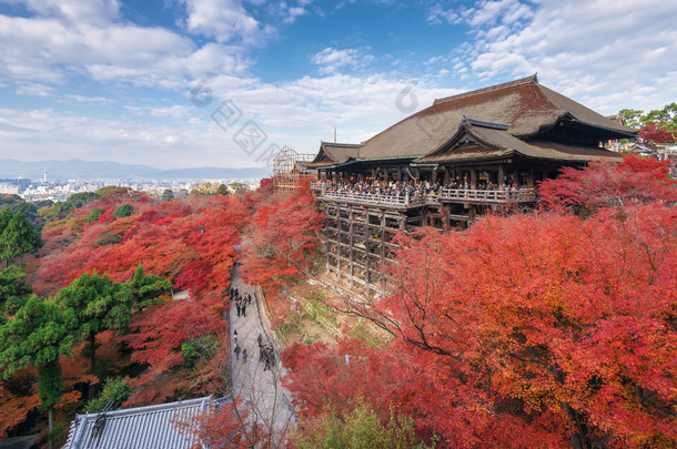 落红的叶，在日本京都的清水寺