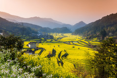 油菜花和中国古代建筑在婺源，中国