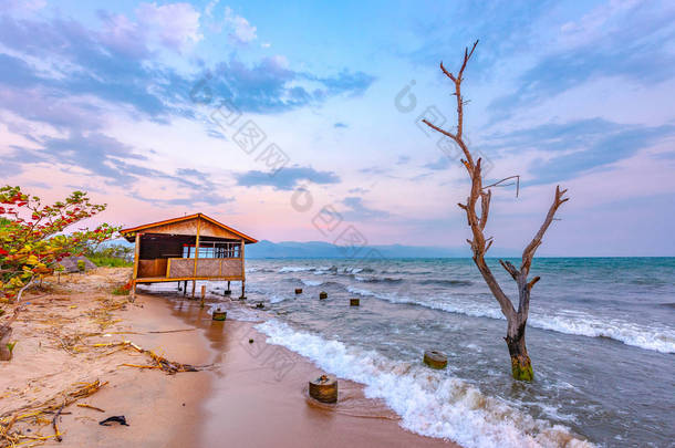 布隆迪布琼布拉湖, <strong>风</strong>多云天空和沙海滩在东非的湖, 布隆迪日落与房子从木头和死树在海