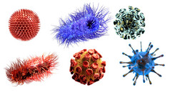 病毒和细菌的医学插图