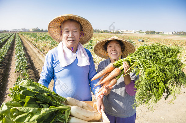 高级对幸福的夫妇农夫用手里的胡萝卜很多