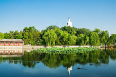 中国北京北海公园, 有白塔和蓝天。这是北京市中心的一个公共公园。它曾经是许多朝代的皇家庭院.