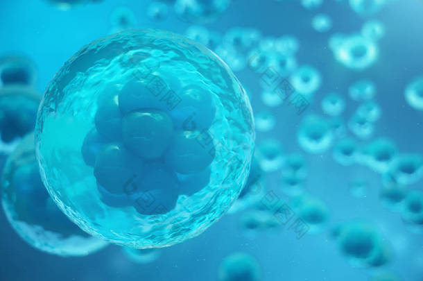 3d. 在蓝色背景下绘制人体或动物细胞。概念早期胚胎医学的科学概念、干细胞研究与治疗.