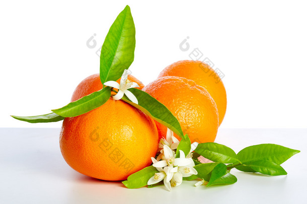 橘子橙花白色