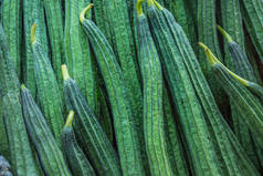 新鲜的斜角丝瓜，棱形葫芦 (丝瓜 acutangula 和。)，蔬菜为背景