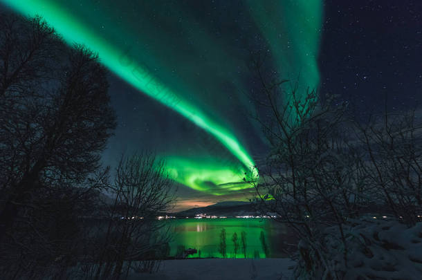 极地北极北极光极光天空之星在斯堪的那维亚挪威特罗姆瑟在农场冬季森林雪山 