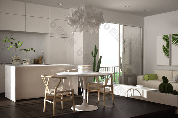 生态<strong>绿色室内设计</strong>，白色和灰色客厅与阳台，厨房与餐桌，多汁盆栽植物，镶木地板，窗户，全景阳台。可持续建筑