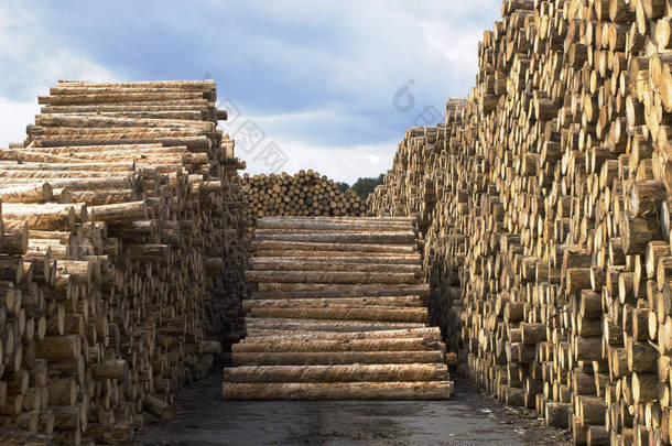 木材加工-锯厂。一大堆准备在锯木厂加工的原木.