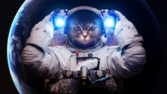 在外层空间只漂亮的猫。这幅图像由美国国家航空航天局提供的元素.
