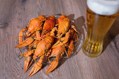 癌症对啤酒、 莳萝、 煮小龙虾、 啤酒小吃