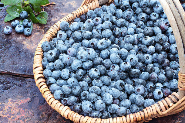 篮子里的新鲜蓝莓